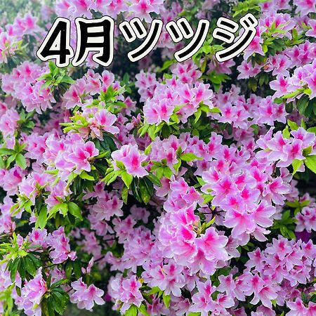 伊都山海渓 Itoshima Exterior foto