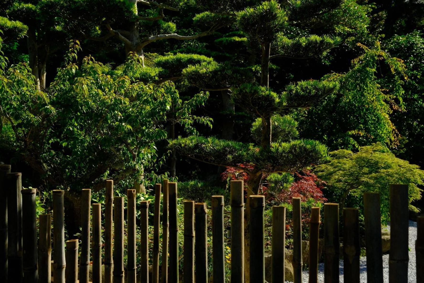 伊都山海渓 Itoshima Exterior foto