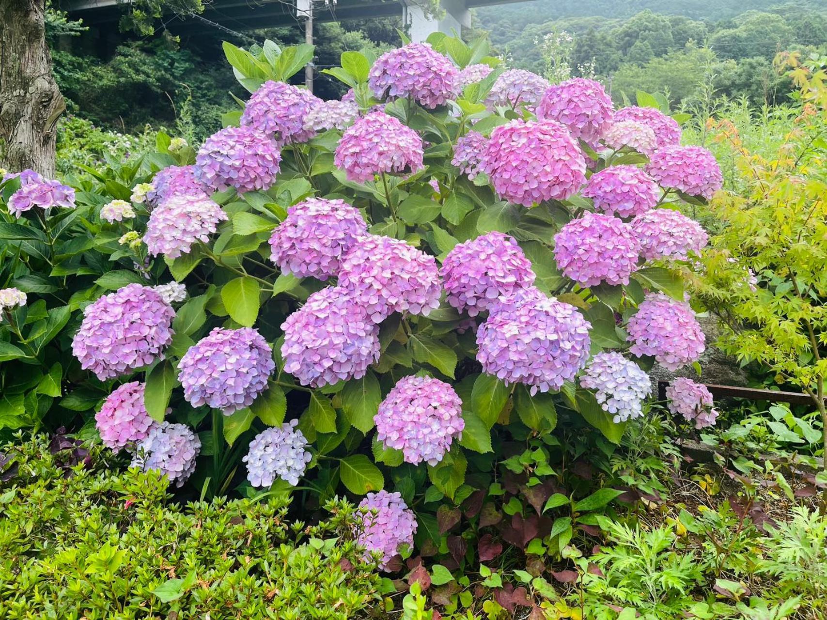 伊都山海渓 Itoshima Exterior foto