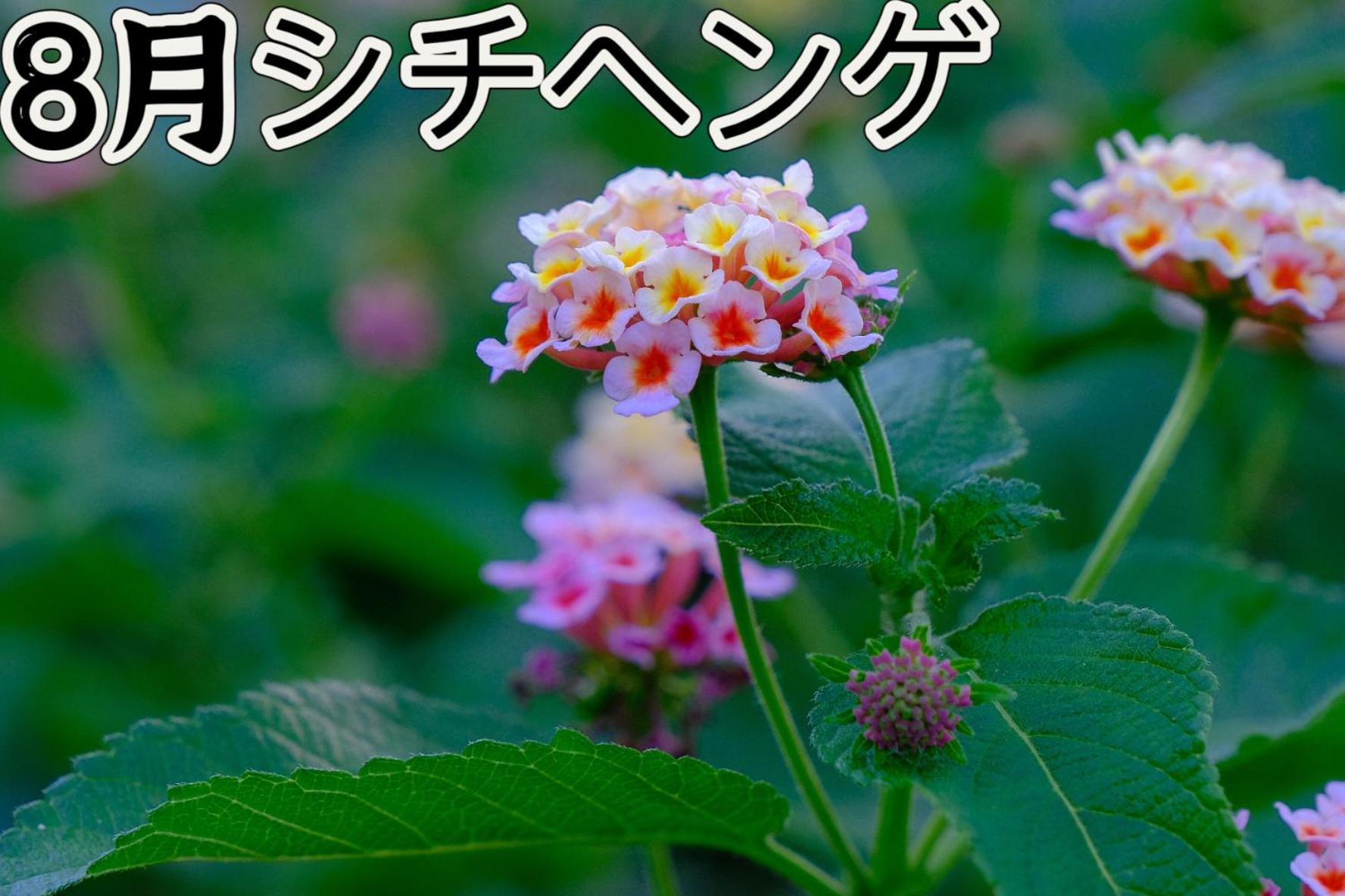伊都山海渓 Itoshima Exterior foto