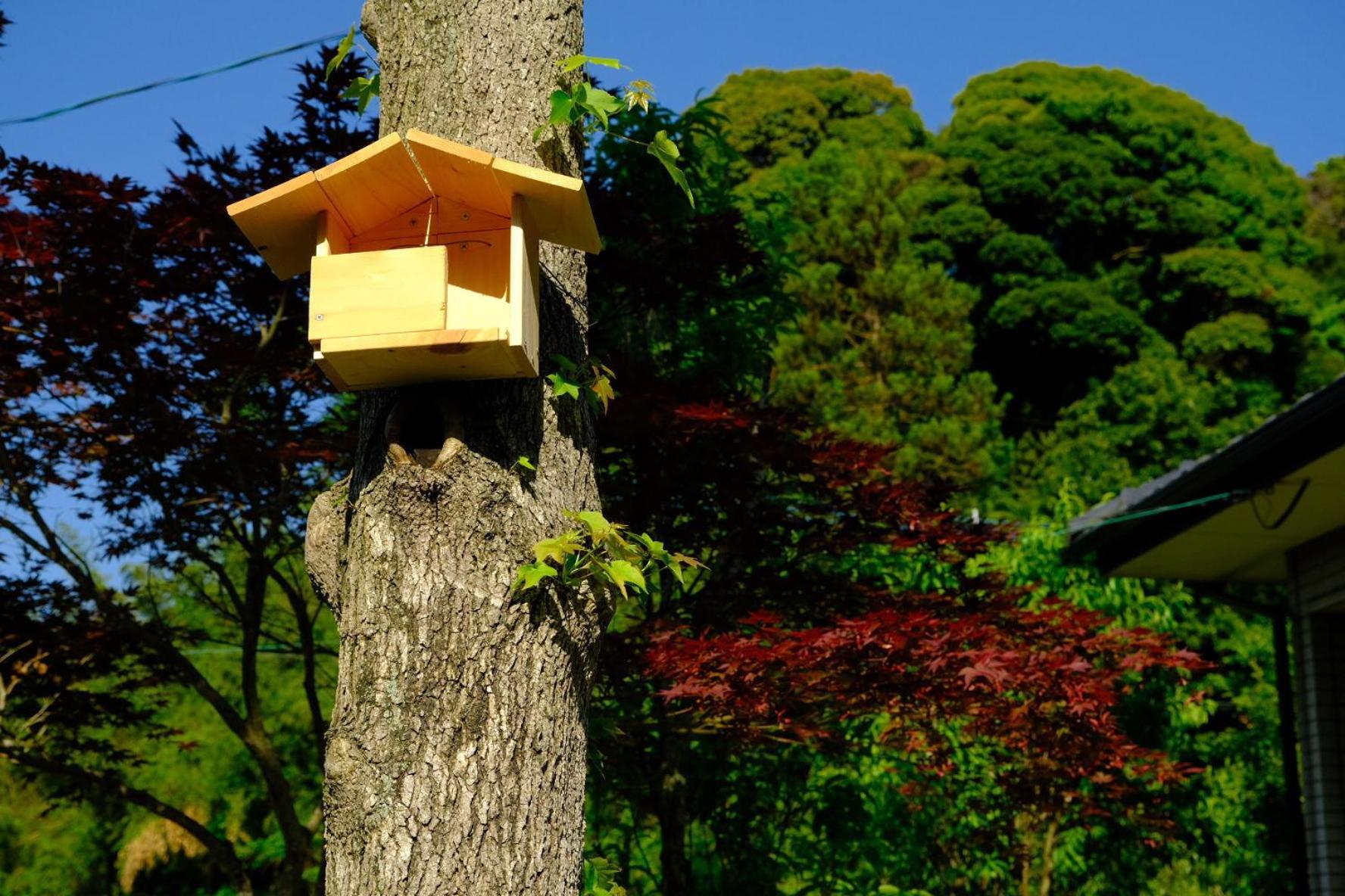伊都山海渓 Itoshima Exterior foto