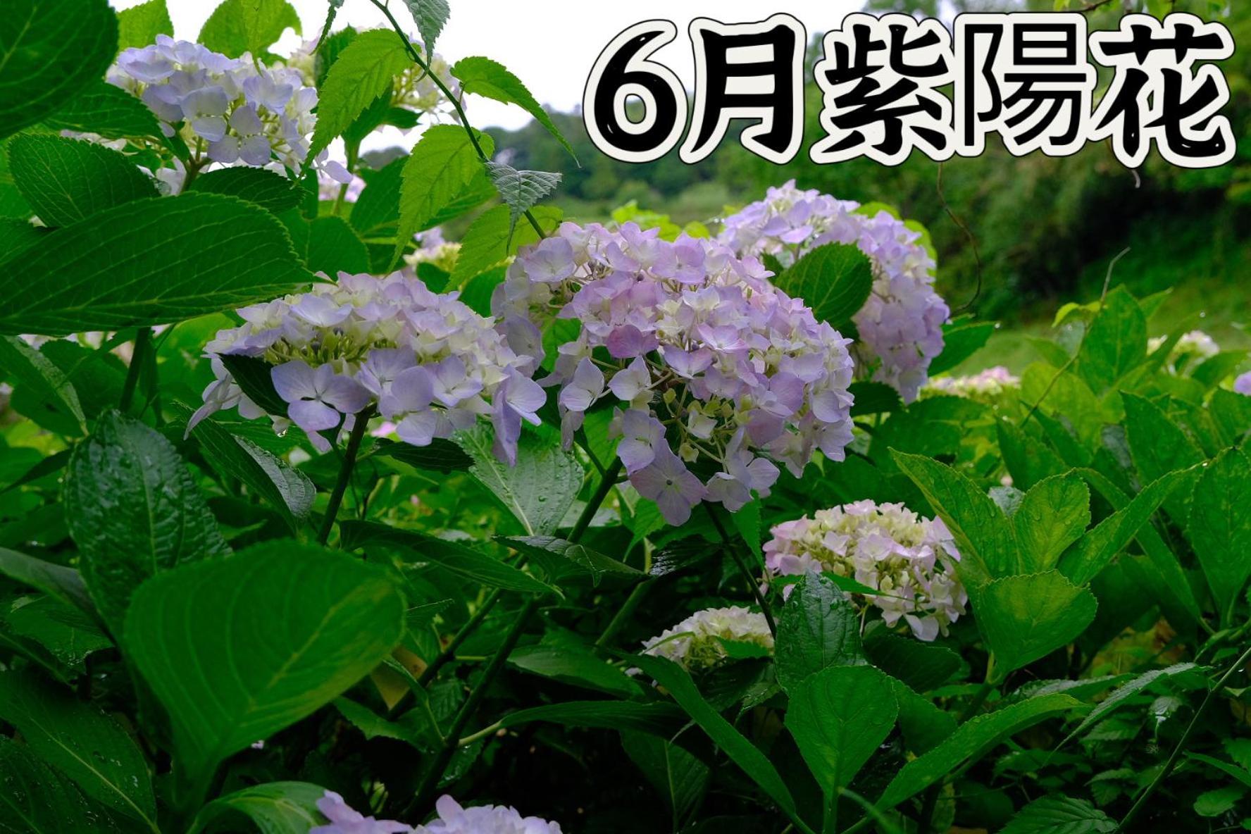 伊都山海渓 Itoshima Exterior foto