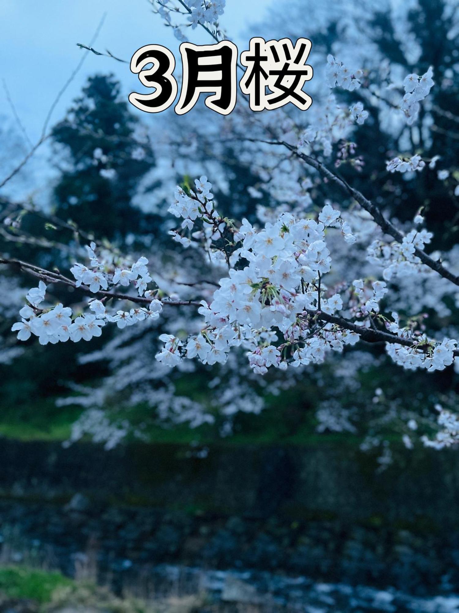 伊都山海渓 Itoshima Exterior foto