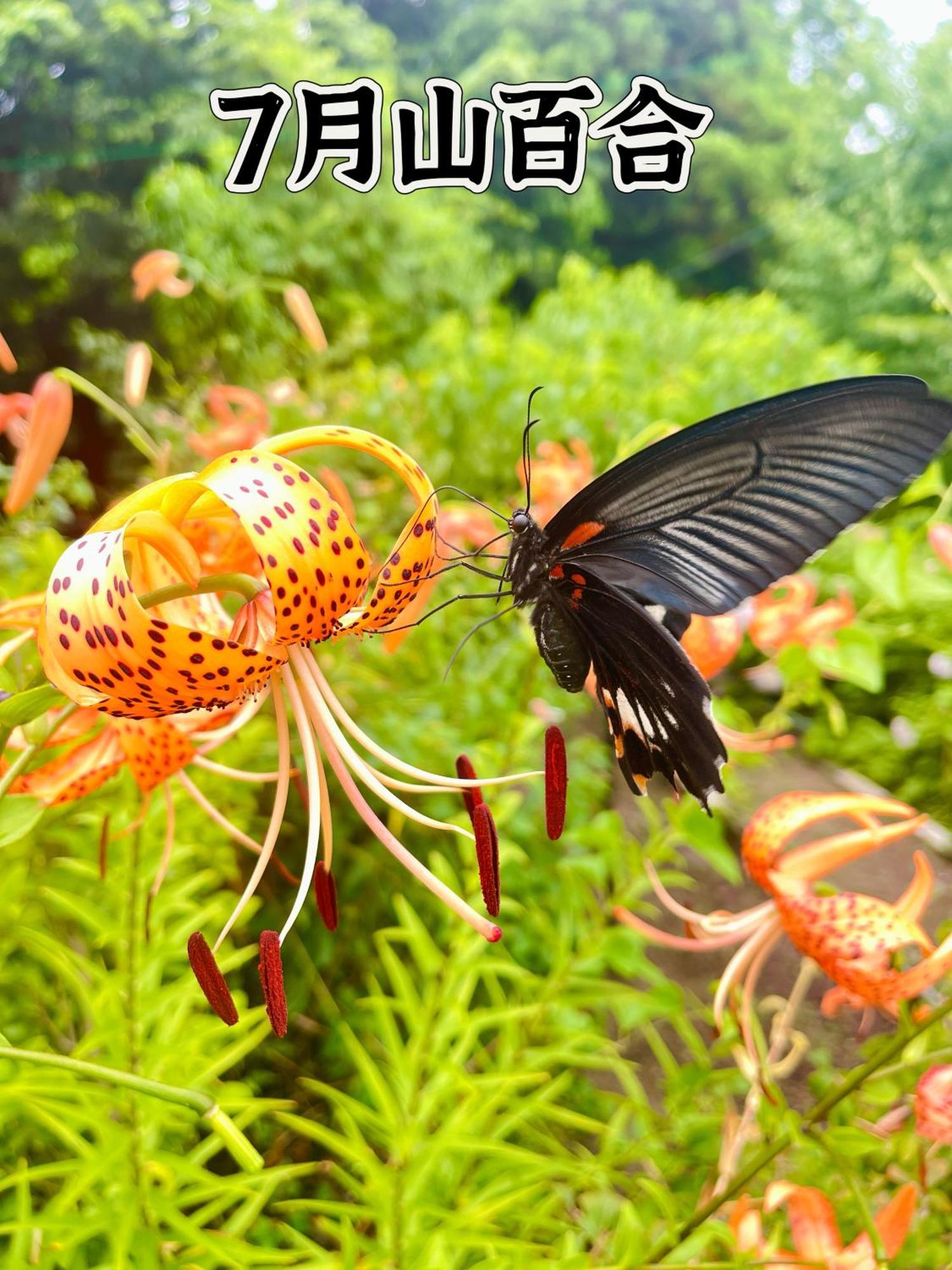 伊都山海渓 Itoshima Exterior foto