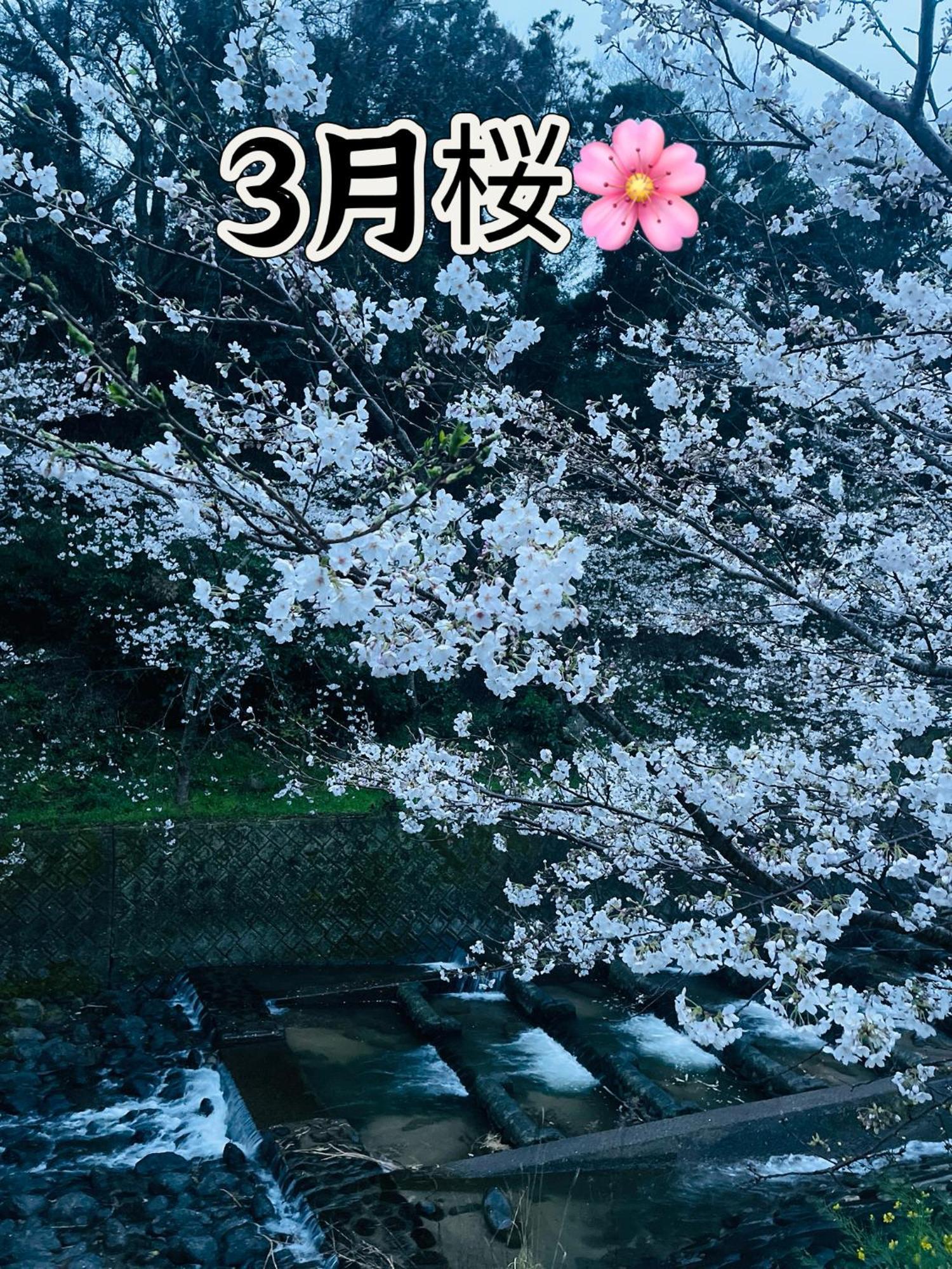 伊都山海渓 Itoshima Exterior foto