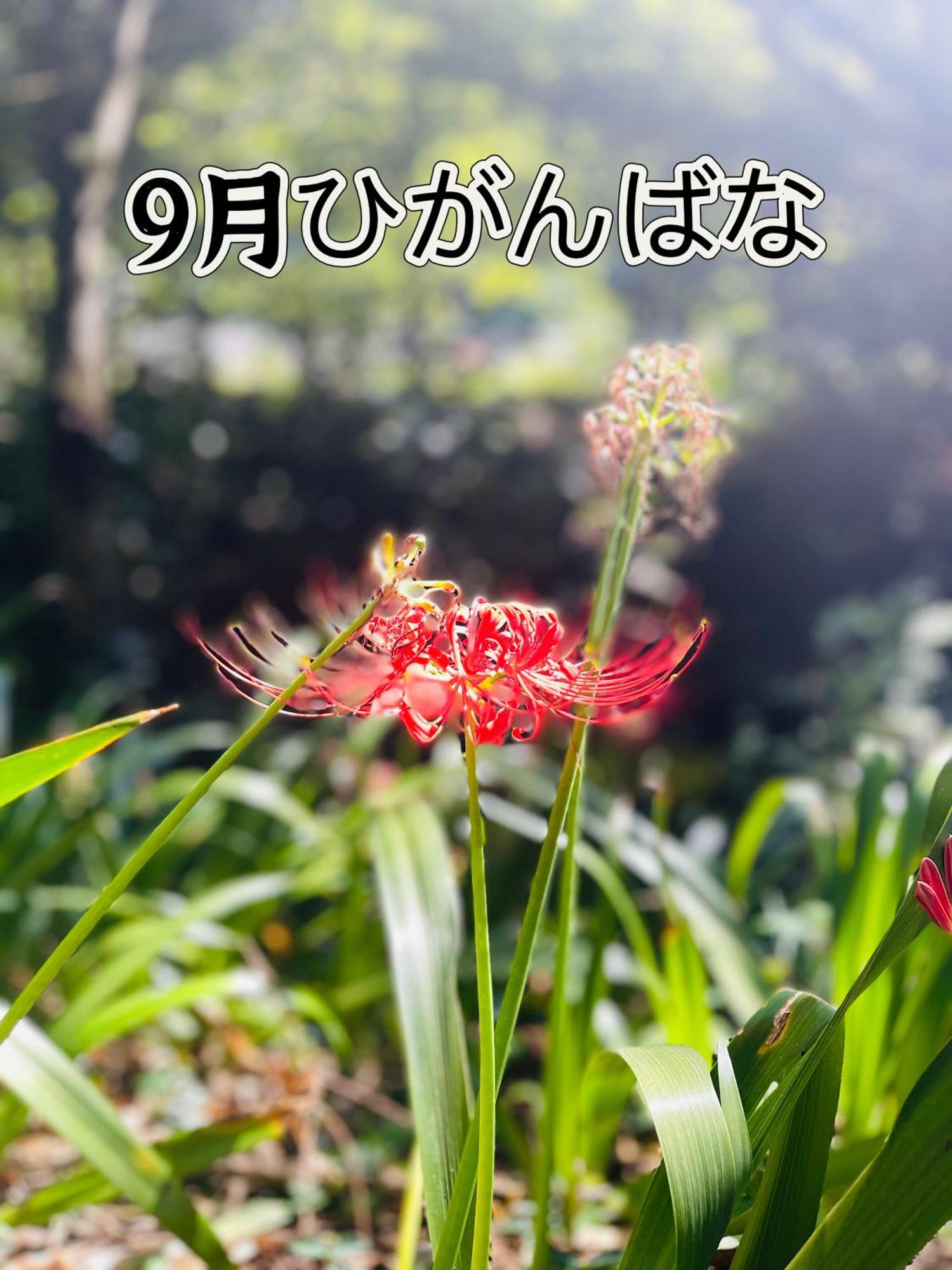 伊都山海渓 Itoshima Exterior foto