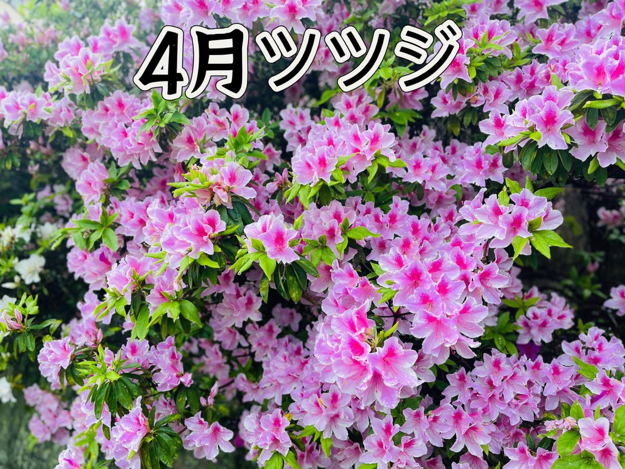 伊都山海渓 Itoshima Exterior foto